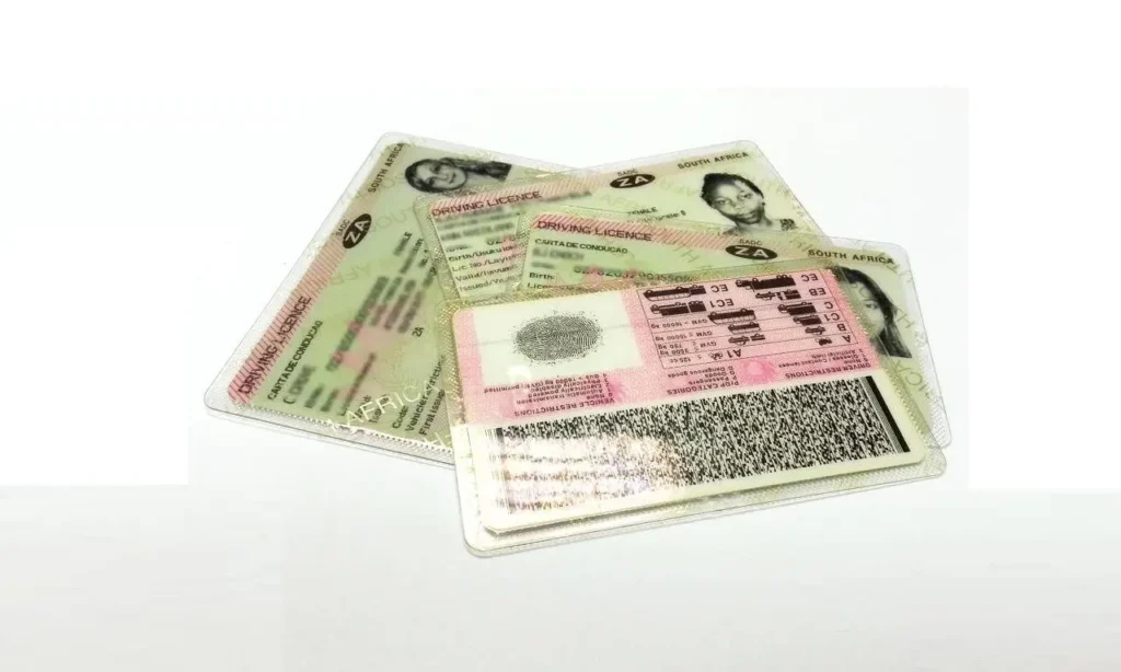 license cards